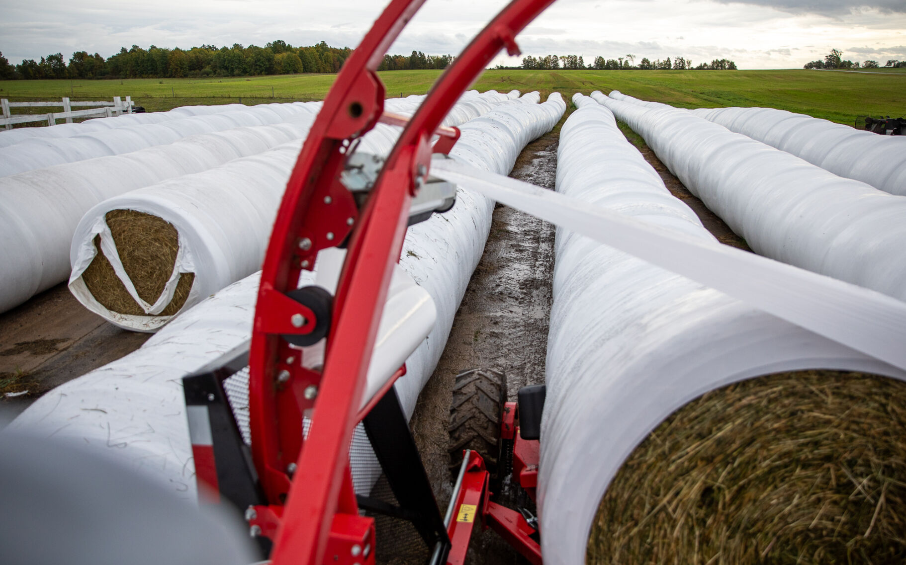 refocused farming